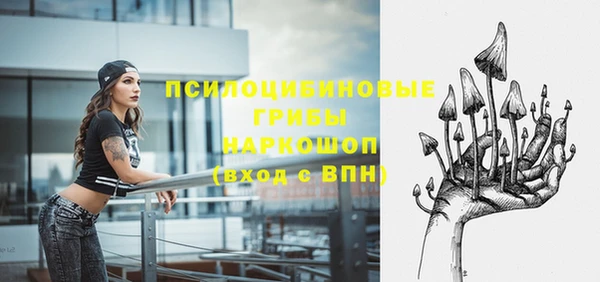 ГАЛЛЮЦИНОГЕННЫЕ ГРИБЫ Арсеньев