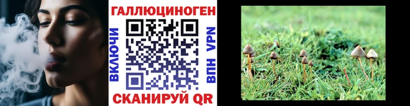 Галлюциногенные грибы мицелий  гидра ссылки  Кириши  купить  